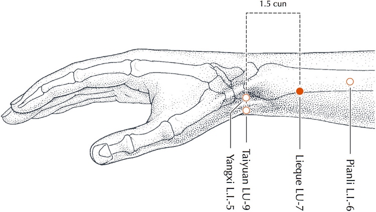 aupuncture point lung 7