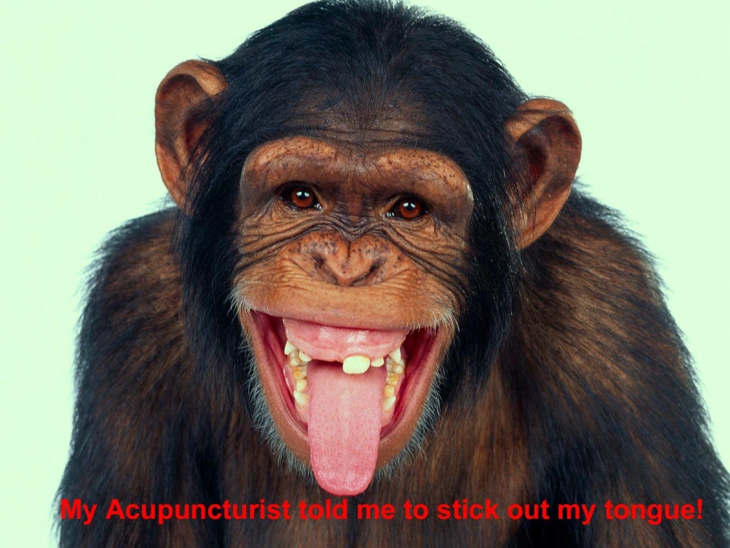 Phoenix Rises Acupuncture